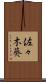 佐々木葵 Scroll