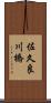佐久良川橋 Scroll