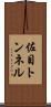 佐目トンネル Scroll