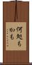 何処もかも Scroll