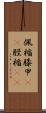 佩楯;膝甲(rK);脛楯(rK) Scroll