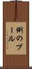 例のプール Scroll