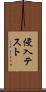 侵入テスト Scroll