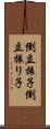 倒立振子 Scroll