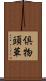 倶物頭華 Scroll
