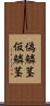 偽鱗茎 Scroll