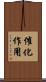 催化作用 Scroll