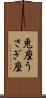 兎座 Scroll