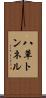 八草トンネル Scroll
