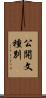 公開文種別 Scroll