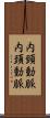 内頸動脈 Scroll