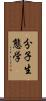 分子生態学 Scroll