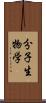 分子生物学 Scroll