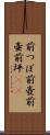 前つぼ Scroll