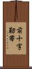 前十字靭帯 Scroll