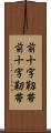 前十字靱帯 Scroll