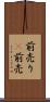 前売り(P) Scroll
