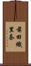 前田織里奈 Scroll
