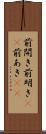 前開き Scroll