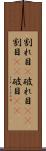 割れ目(P) Scroll