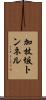 加杖坂トンネル Scroll
