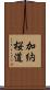 加納桜道 Scroll