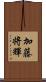 加藤将輝 Scroll