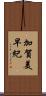 加賀美早紀 Scroll