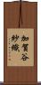 加賀谷紗織 Scroll