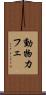 動物カフェ Scroll