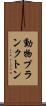 動物プランクトン Scroll