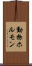 動物ホルモン Scroll