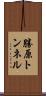勝原トンネル Scroll