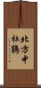 北方中杜鵑 Scroll