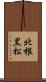 北根黒松 Scroll
