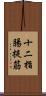 十二指腸提筋 Scroll