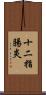 十二指腸炎 Scroll