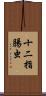 十二指腸虫 Scroll
