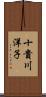 十貴川洋子 Scroll