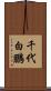 千代白鵬 Scroll