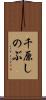 千原しのぶ Scroll