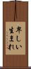 卑しい生まれ Scroll