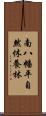 南八幡平自然休養林 Scroll
