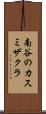 南谷のカスミザクラ Scroll