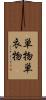 単物 Scroll