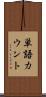 単語カウント Scroll