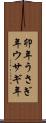 卯年 Scroll