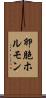 卵胞ホルモン Scroll