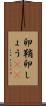 卵鞘 Scroll