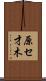 原セ才木 Scroll
